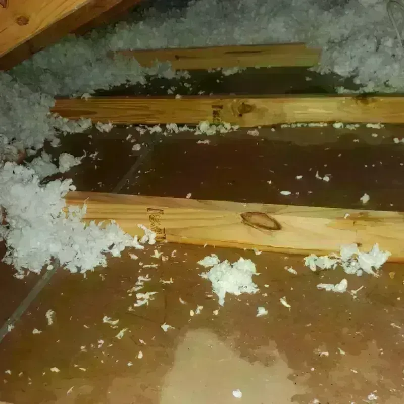 Attic Water Damage in Hitchcock, TX