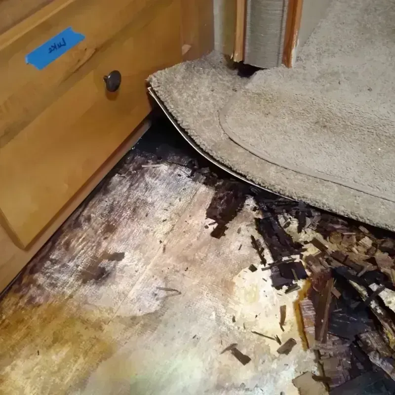 Wood Floor Water Damage in Hitchcock, TX